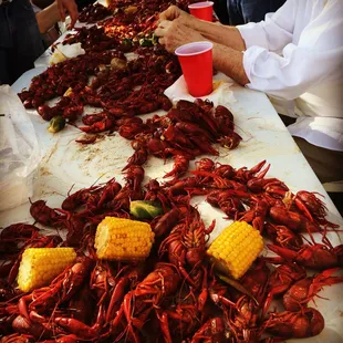 Stunning house &amp; grounds Wedding, corporate, family: Crawfish raised on site!  #NOLA_Haiku #StellaPlantation #Crawfish #Plaquemines