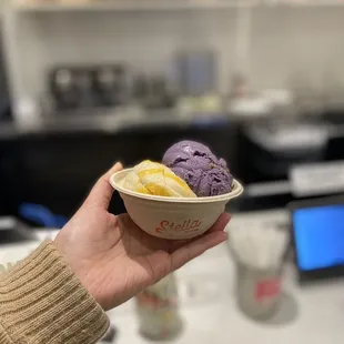 Mango sorbet and ube caramel (both incredible!)