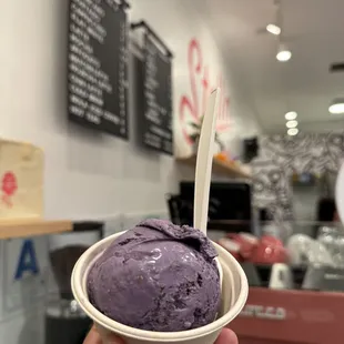 Single scoop in a cup