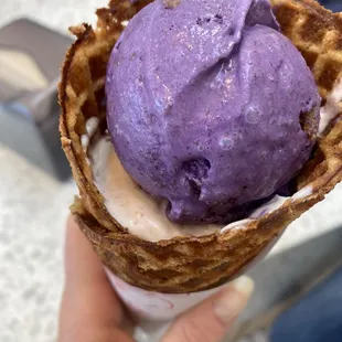 Ube and (D) Guava Cream Cheese