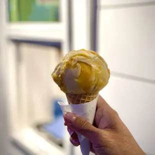 Mango sticky rice ice cream