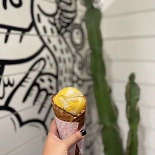 Mango sticky rice ice cream