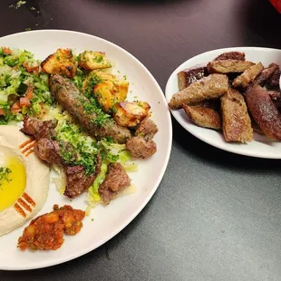 Combo Kebab Plate with Side of Gyro