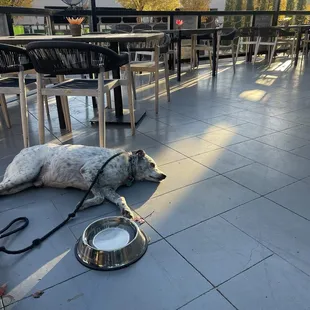 Had the whole outdoors to myself