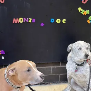 Specially tx phone up