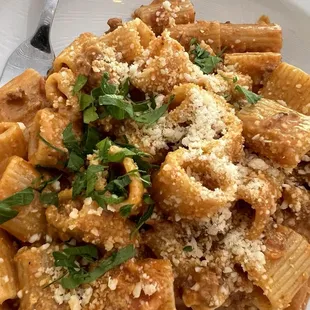 Bolognese