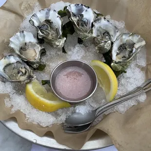 Oysters