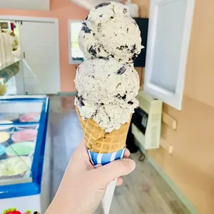 Double Scoop of Cookies n Cream
