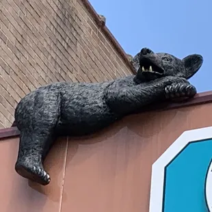 Black Bear famous Plymouth  This is on town hall building