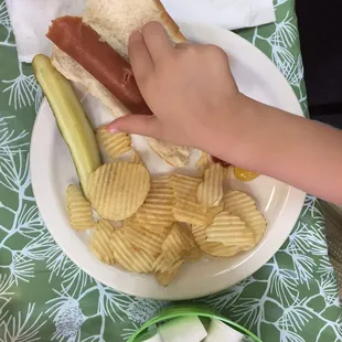 Hot dog, pickle and chips