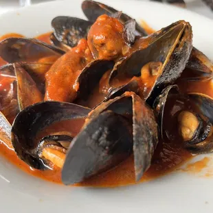 Mussels