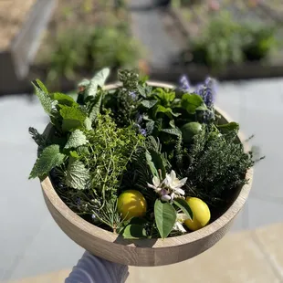 On Site Garden - Herb Harvest