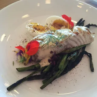 Halibut