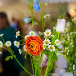 Absolutely beautiful!!!