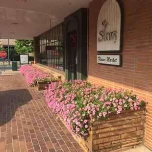 Welcome to Stems in Utica Square