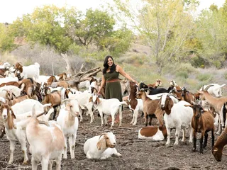 Michelle Douglas Photography