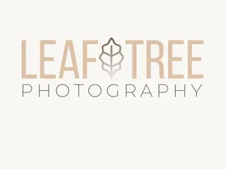 Leaf and Tree Photography