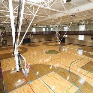 Gigantic gymnasium