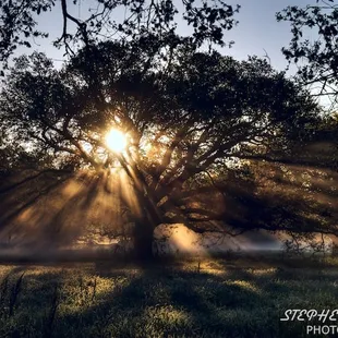 Sunrise in City Park