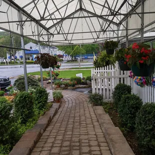 a walkway in a greenhouse
