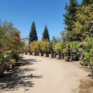 Just a fraction of what they carry!