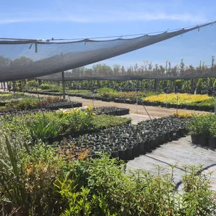 The best place to go to for plant lovers !!!!