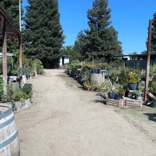 Rolls of Plants and Trees