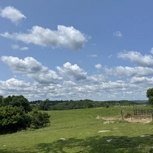 The view as you enter Deer Run Stables