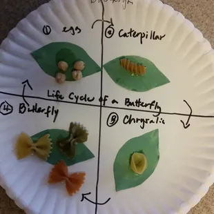 macaroni STEM art for 2.5 year olds!  It was incorporated in a lesson plan on insects with real live butterflies.  Love this school.