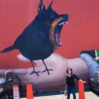 Vu N.
