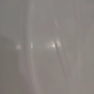 Pubic hair in tub