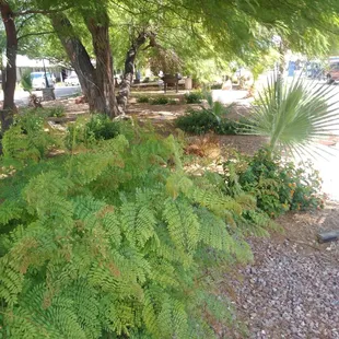 Benches in the shade tabels too.