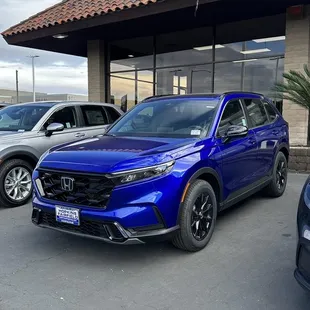 Steve Hopkins Honda