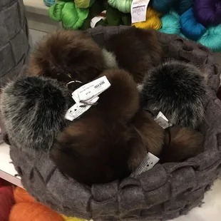 Poms!