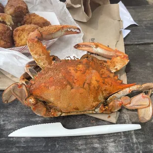 Maybe a Medium they are selling as XL $120 a dozen.