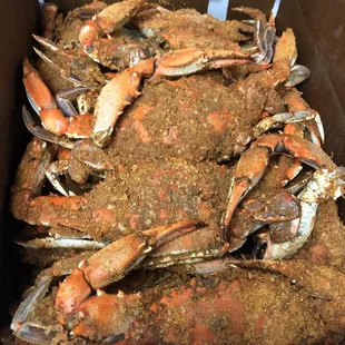 Steamed Crabs