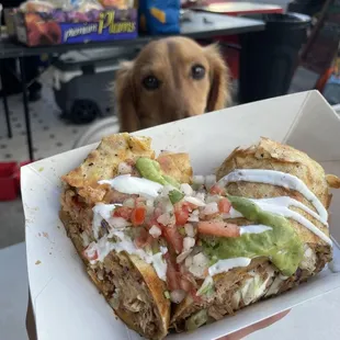 food, wraps, burrito, burritos and wraps