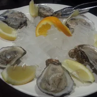 Oysters