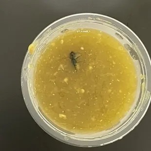 Fly in my food