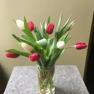 Fresh tulips in glass vase