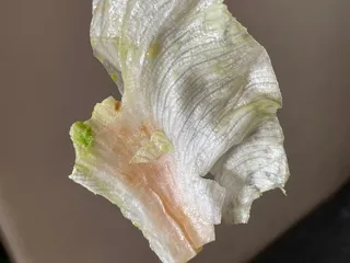 Tommy's Drive Thru Restaurant