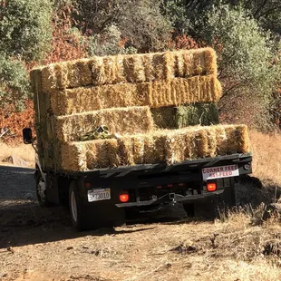 Getting 20 bales of straw delivered in Hawkins Valley.