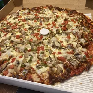20" House Special