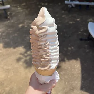 Twist cone
