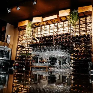 Wine Tasting all day long