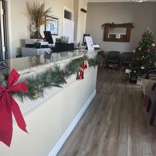 Our Christmas office Decor 2022