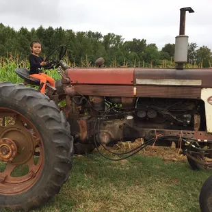 Beautiful backgrounds for family photos