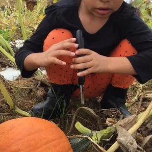 Clippers provided to get the kiddos into it