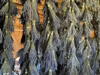 Twin Creeks Lavender