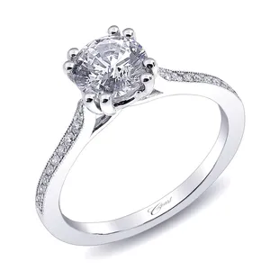 Engagement 13